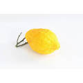 Natürliche hochwertige Zitronenfrucht